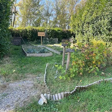 Mobil Camping Tohapi Ile Du Rhin Camping Biesheim